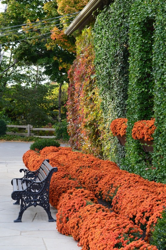 gallery/autumn-199177_1280